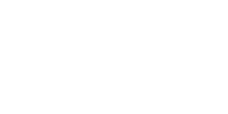 Chief Nutrition logo