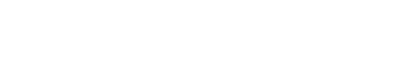 Dr Leo logo
